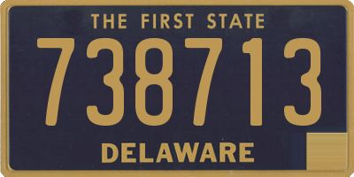 DE license plate 738713
