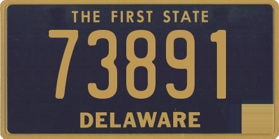 DE license plate 73891