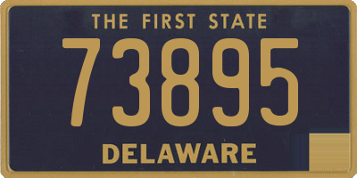 DE license plate 73895