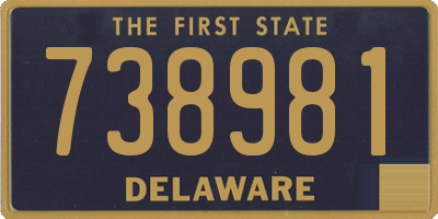 DE license plate 738981