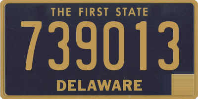 DE license plate 739013