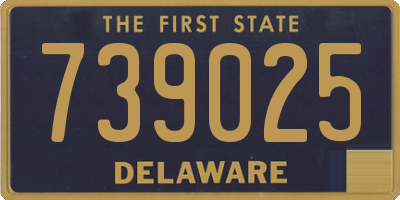 DE license plate 739025