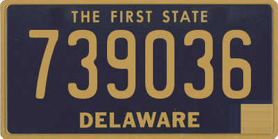 DE license plate 739036