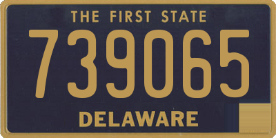 DE license plate 739065