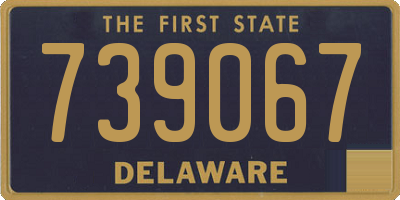 DE license plate 739067