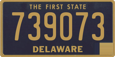 DE license plate 739073