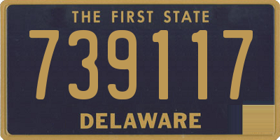 DE license plate 739117