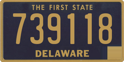 DE license plate 739118