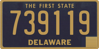 DE license plate 739119