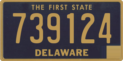 DE license plate 739124