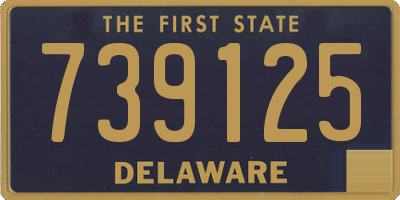 DE license plate 739125