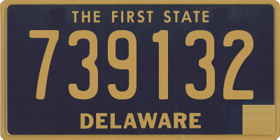 DE license plate 739132