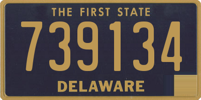 DE license plate 739134
