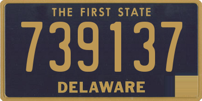 DE license plate 739137