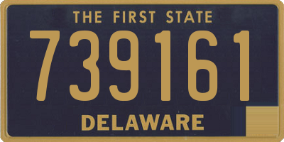 DE license plate 739161