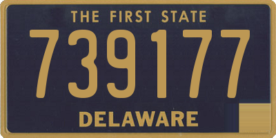DE license plate 739177