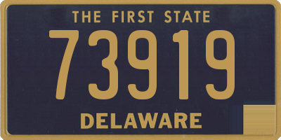 DE license plate 73919