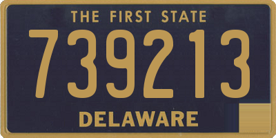 DE license plate 739213