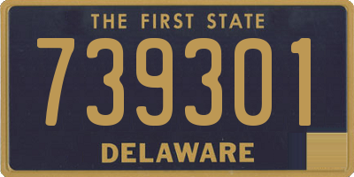 DE license plate 739301