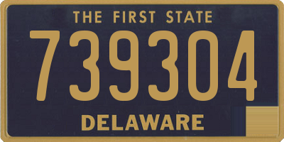 DE license plate 739304