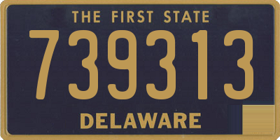 DE license plate 739313