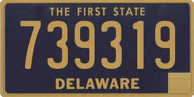 DE license plate 739319