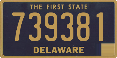 DE license plate 739381