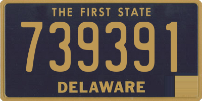 DE license plate 739391