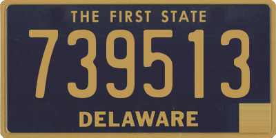 DE license plate 739513
