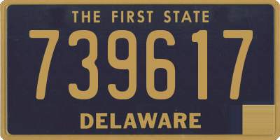 DE license plate 739617