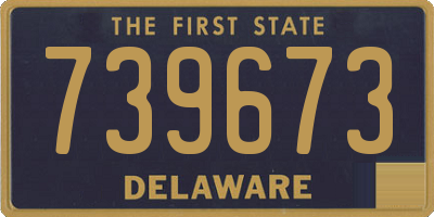 DE license plate 739673