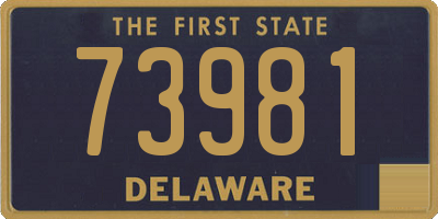 DE license plate 73981