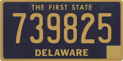 DE license plate 739825