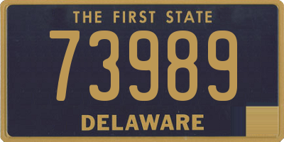 DE license plate 73989