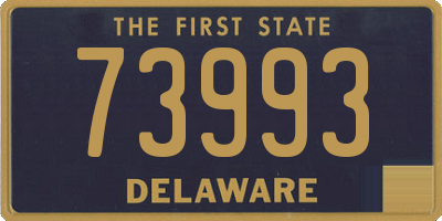 DE license plate 73993