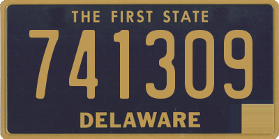 DE license plate 741309