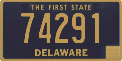 DE license plate 74291