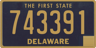 DE license plate 743391