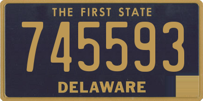 DE license plate 745593