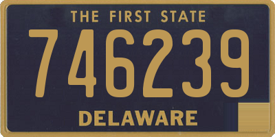 DE license plate 746239