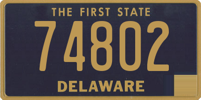 DE license plate 74802
