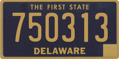 DE license plate 750313