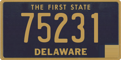 DE license plate 75231