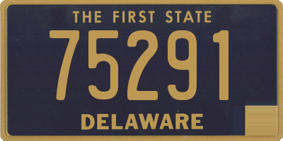DE license plate 75291