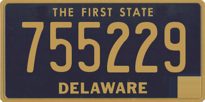 DE license plate 755229