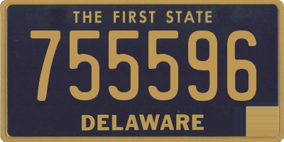 DE license plate 755596