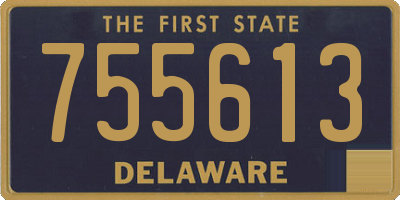 DE license plate 755613