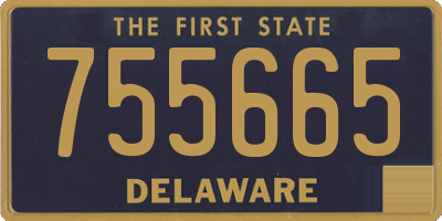 DE license plate 755665