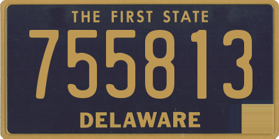 DE license plate 755813