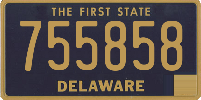 DE license plate 755858